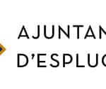 Continuació de la campanya